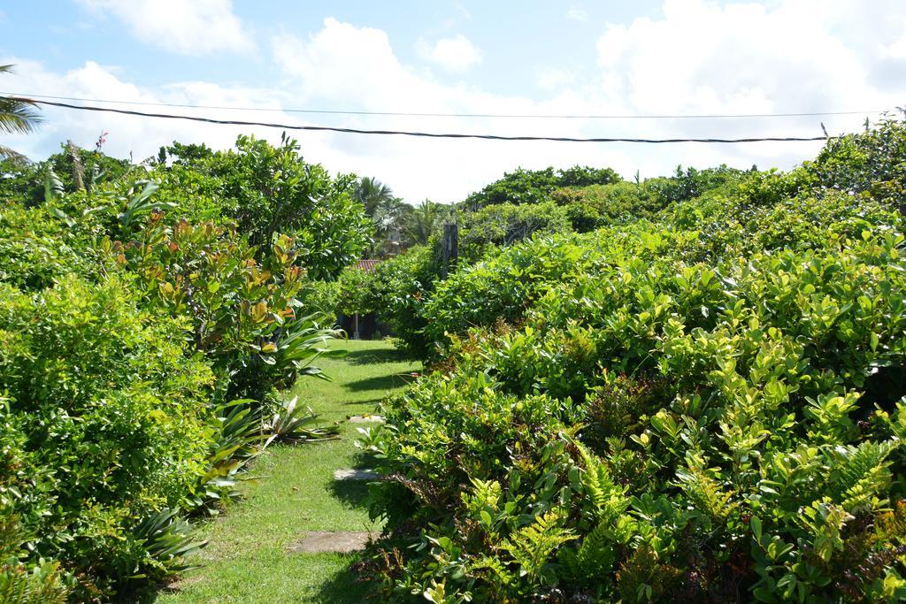 Casa Da Ilha Do Mel - Pousada De Charme ภายนอก รูปภาพ